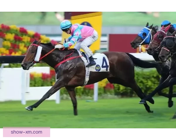 熊猫体育无法打开怎么办 常见原因及解决方法解析