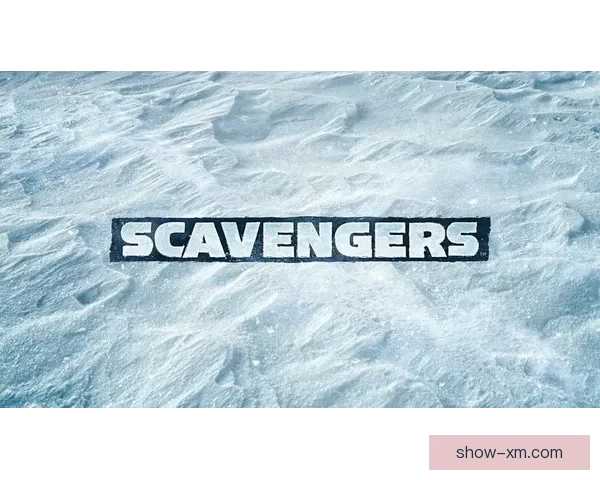 熊猫体育登录入口解析，畅享体育赛事精彩体验